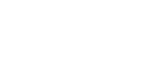 Logo von Bauknecht in weiß.