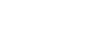 Logo von Bora in weiß.