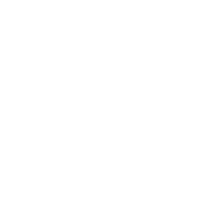 Icon, welches Finanzierung symbolisieren soll.